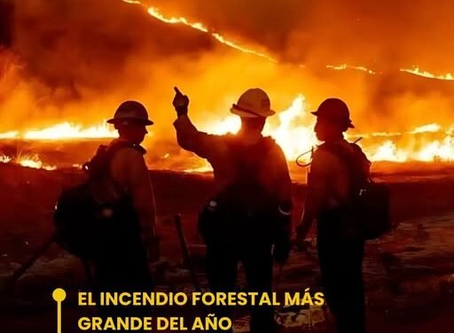 EL INCENDIO FORESTAL MÁS GRANDE DEL AÑO
