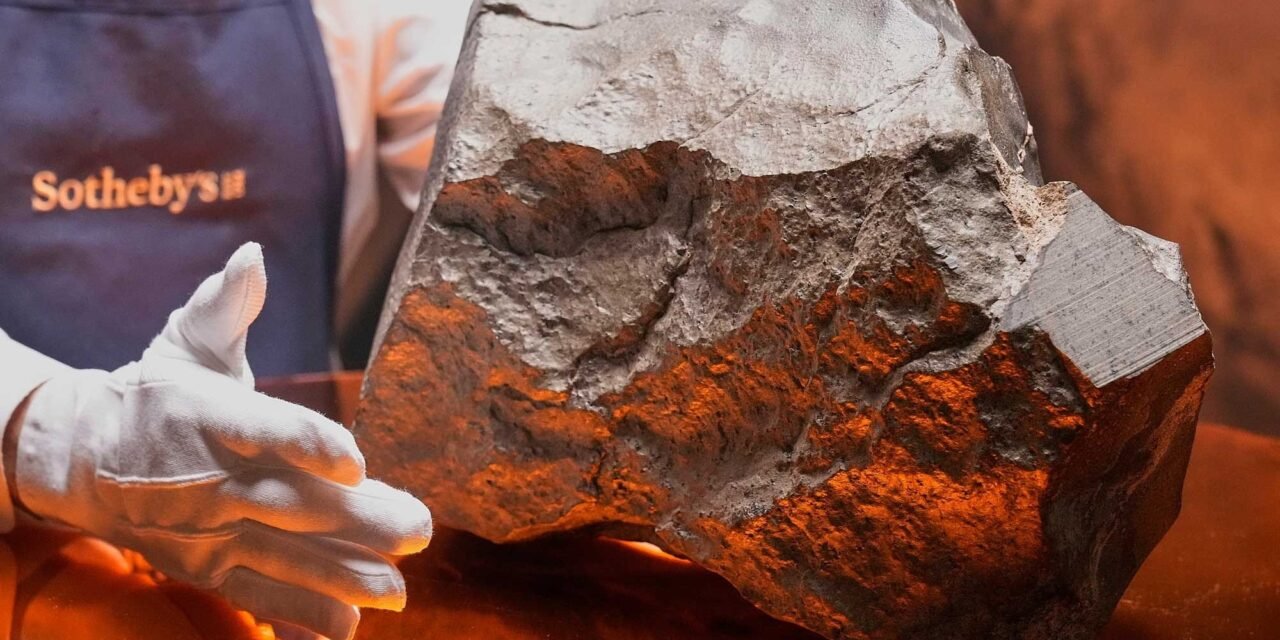 EL FRAGMENTO MÁS GRANDE DE MARTE EN LA TIERRA SERÁSUBASTADO 
