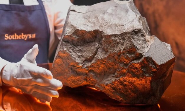 EL FRAGMENTO MÁS GRANDE DE MARTE EN LA TIERRA SERÁSUBASTADO 