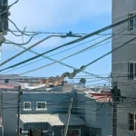 REPORTAN PRESUNTOS AVISTAMIENTOS DE SERPIENTES EN TIJUANA