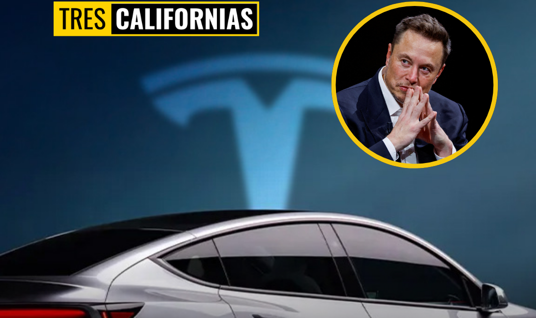 TESLA ANALIZA CREAR RED DE PROVEEDURÍA EN BAJA CALIFORNIA