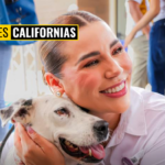 GOBIERNO DE BAJA CALIFORNIA REALIZA MEGA JORNADA DE ESTERILIZACIÓN PARA PERROS Y GATOS