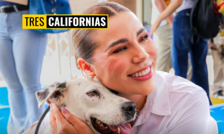 GOBIERNO DE BAJA CALIFORNIA REALIZA MEGA JORNADA DE ESTERILIZACIÓN PARA PERROS Y GATOS